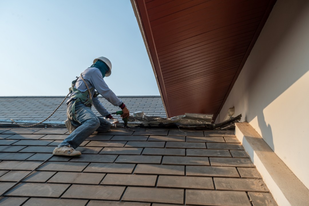 A specialist in roof forming, Replacement of roof plates that have been used for a Long time. Roof repair.
